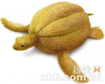 网络高手制出动物与植物混种照片