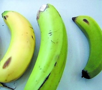 卖香蕉还赠催熟剂 专家：不超标使用对人体无害
