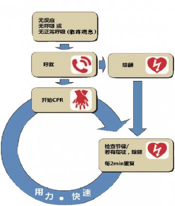 心血管急救，教你看指南——解读《2010美国心脏协会心肺复苏和心血管急救指南》