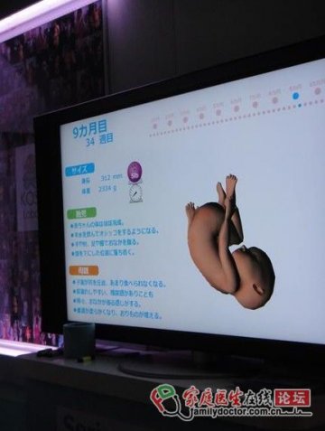神奇的怀孕模拟装置