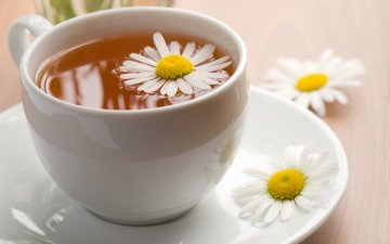 茶