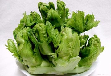 这4种菜天生就有毒