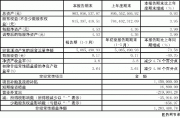 浙江华海药业股份有限公司2005年第一季度报告（节录）