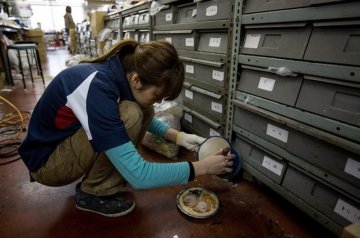 探访日本的食物模型工厂 仿真度极高