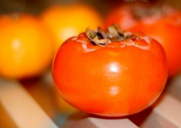 秋季10大食物瘦身清热