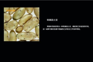 如何分辨转基因食品