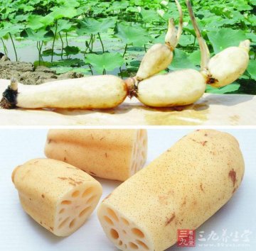 男人补血10大食物不可少