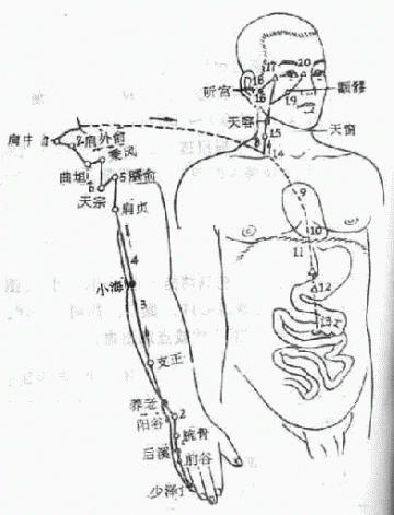 小肠经