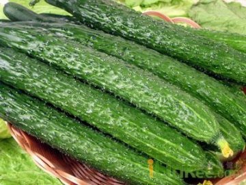 黄瓜不与花生、辣椒、芹菜搭配