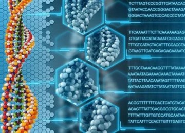 欧洲科学家成功实现DNA存储数据