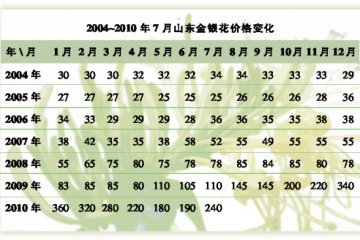 金银花：高位震荡有望持续