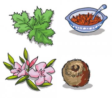 宫斗剧热播“闻香流产”吓坏孕妇 专家解读