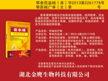 热磁治疗贴-(鄂食药监械(准)字2013第2261778号)精美广告图欣赏