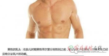 男性乳头