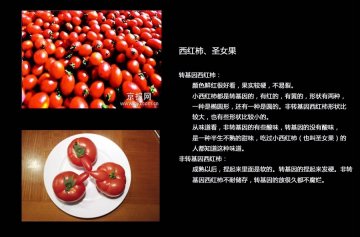 如何辨别转基因食品