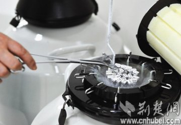 武汉近万试管婴儿胚胎被父母遗忘 医院难定弃留
