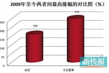 冬虫夏草涨势超钻石 价格一个月涨1.5万