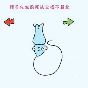 漫画图解精子先生的15种死法