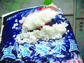 海鲜市场现虾蟹兴奋剂海水晶 专家称对身体无害