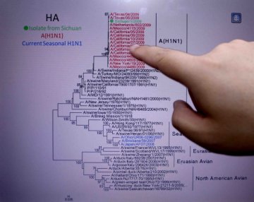 我国成功分离出内地第一株甲型H1N1流感病毒