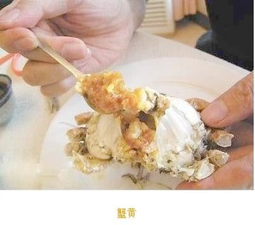 如何优雅食用大闸蟹：步骤六
