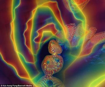腐蚀的牙齿也显示出不属于这个世界的美丽