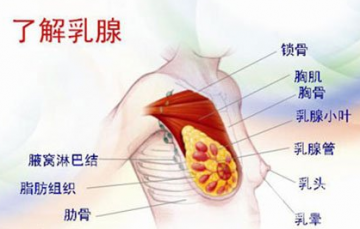 放任不管经期乳房胀痛会变得越来越痛