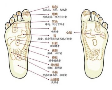 网传按摩脚底穴位百病不生 专家称仅可缓解症状