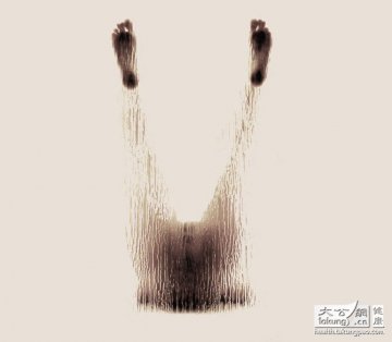 人体探秘：女性裸体与解剖学之美