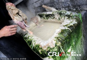 杭州羊肉黑作坊紧邻垃圾房 羊肚甩地上用脚踩