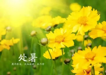 军医详解处暑养生：少吃萝卜少吃姜