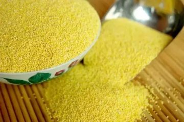 小米这样吃，比吃燕窝鱼翅还养颜