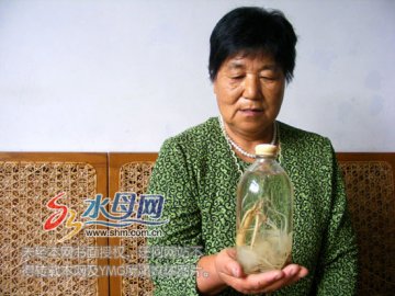 人参在药酒中浸泡26年后长出叶子
