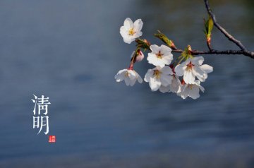 图说二十四节气 美到令人窒息