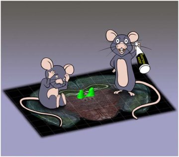 科学家发现有关抑郁症分子机制
