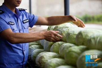 国际禁毒日：探访重庆强制戒毒所