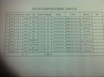 2013年3月临时医疗救助汇总统计表
