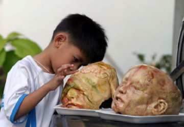 世界上最难以启齿的美食