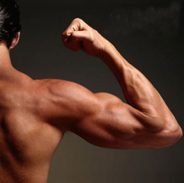 教你如何从皮包骨变身肌肉男