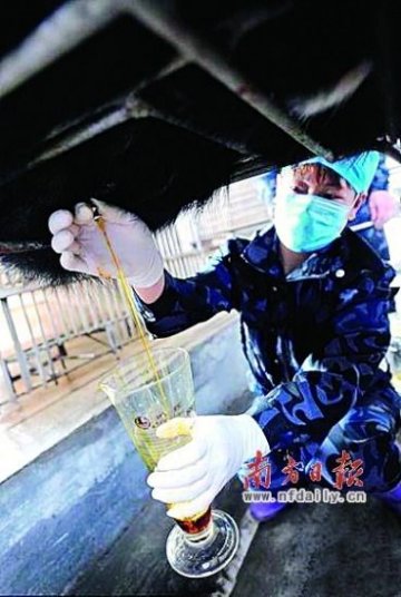 微博昨日满眼都是熊 归真堂开放日引发强烈争议