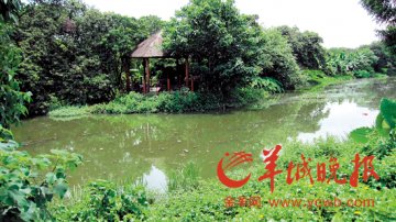 官方回应海珠湖建水闸致果园水污染：治水还有新方案