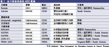 抗体偶联药物涅槃重生