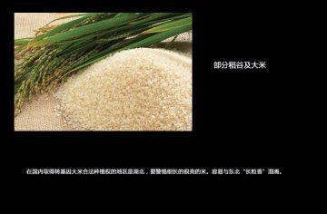 如何分辨转基因食品