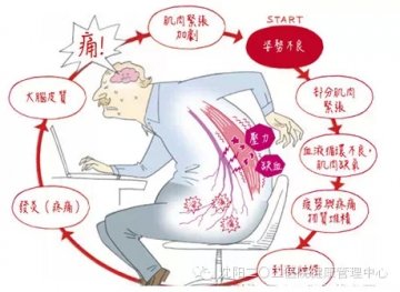 军医详解腰背痛的常见原因