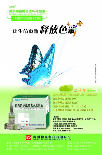 斑蝥酸钠维生素B6注射液-官方高清创意广告(黔药广审(文)第2014040044号)