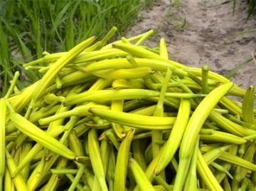 饮食误区：9种给自己“下毒”吃法