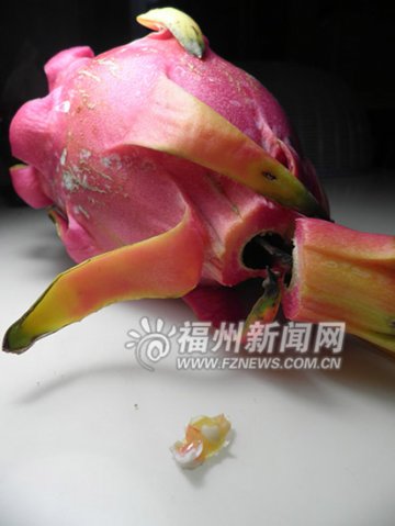 市民切开火龙果发现两枚鸟蛋