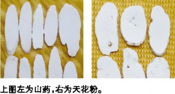 山药粉细无筋脉