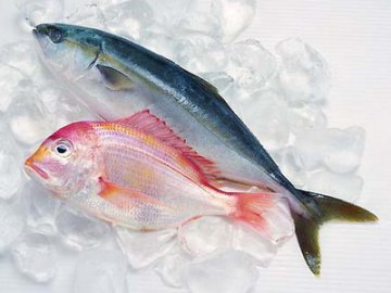 25种“不老仙丹”