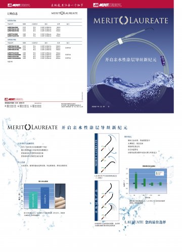 亲水性涂层导丝-Merit Laureate官方高清创意广告()